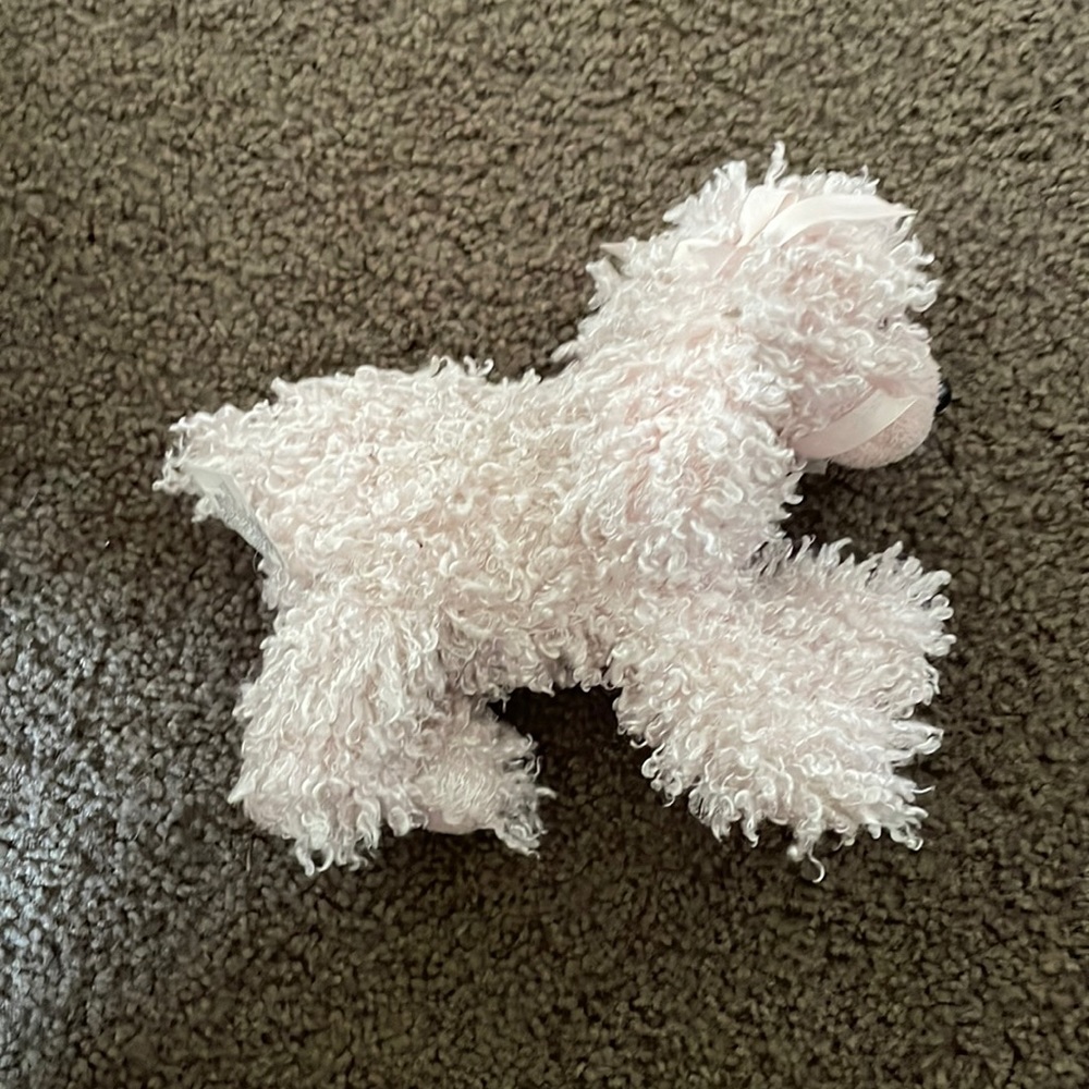 Pink fluffy poodle
